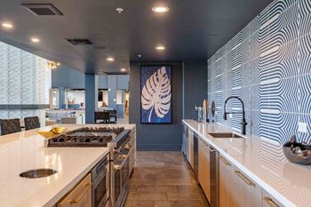 Lavish bar with demonstration kitchen